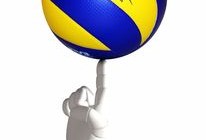 开云官网登录-体育教师数字素养提升路径与支持机制分析，小学体育教学数字教育资源的获取