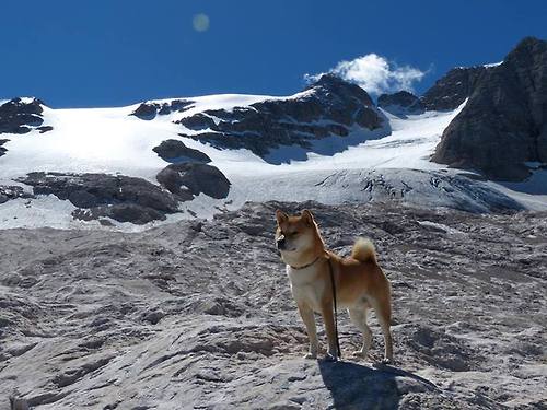 中超球队战略发布会披露青训新布局,中超俱乐部青训