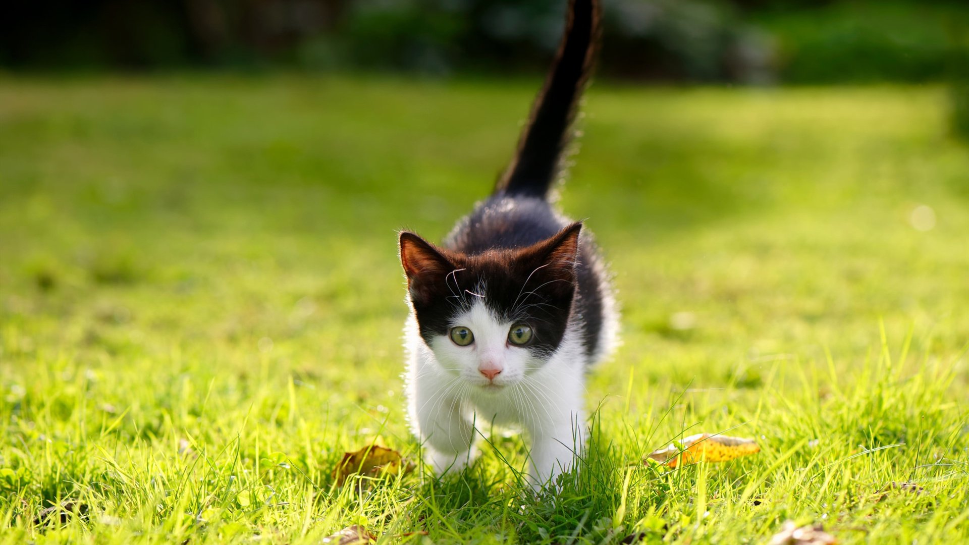 亚冠联赛中国女足惨败 球迷呼吁强化训练,中国女足亚运赛程