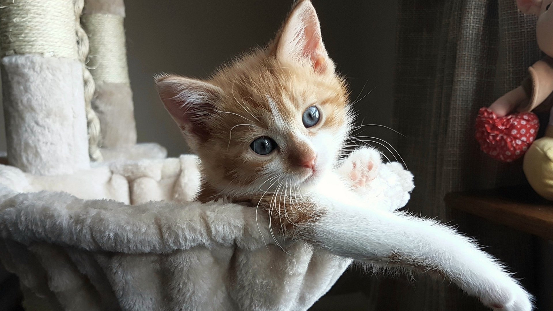 国家队整体实力提升缓慢,国家队之